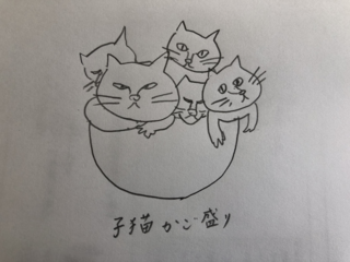 IMG-5206.png