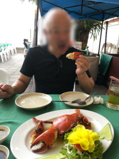 IMG_3952.PNG